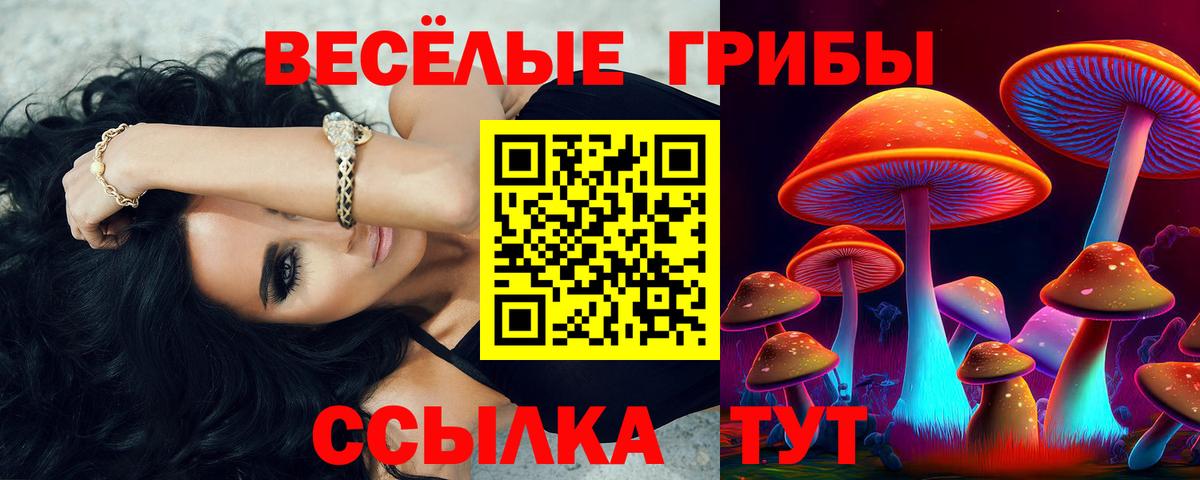 Галлюциногенные грибы Psilocybine cubensis Якутск